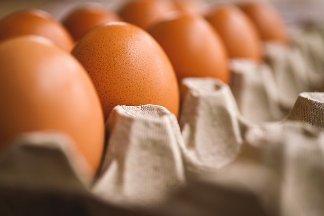 Alimentos que Dan Energía